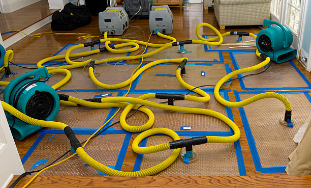 Professional Flood Damage Restoration technician working in Califon, NJ